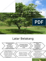 Efektifitas Ekstrak Daun Bintaro (Cerbera Odollam)