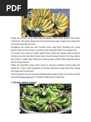 Jenis Pisang Pdf