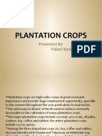 Plantation Crops: Presented By-Pallavi Kadole