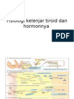 Fisiologi Kelenjar Tiroid Dan Hormonnya