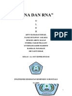 DNA dan RNA