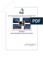 Apostila Processamento GN 2010 PDF