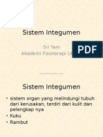 Sistem Integumen