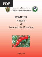 Domates Hastalik Ve Zararlilari Ile Mucadele