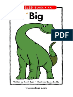 Big