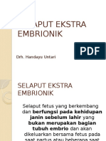 5.Selaput Ekstra Embrionik