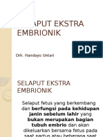 5.selaput Ekstra Embrionik