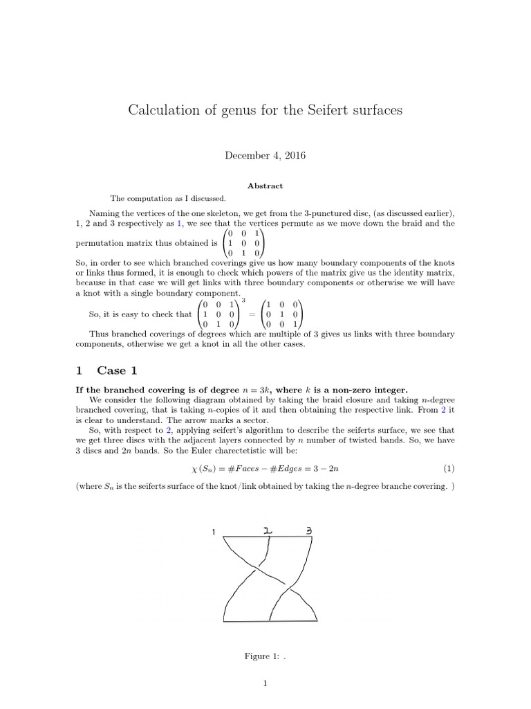 Calculation Genus Seifert | PDF | Discrete Mathematics | Mathematical ...