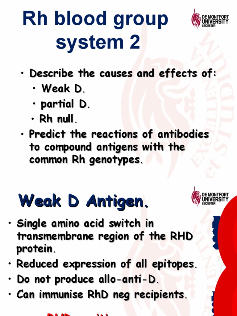Rh Blood Group System 2 Blood Type Body Fluids