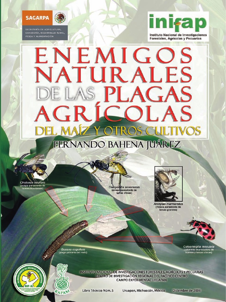 Enemigos Naturales de Las Plagas Agricolas Del Maiz y Otros Cultivos ...