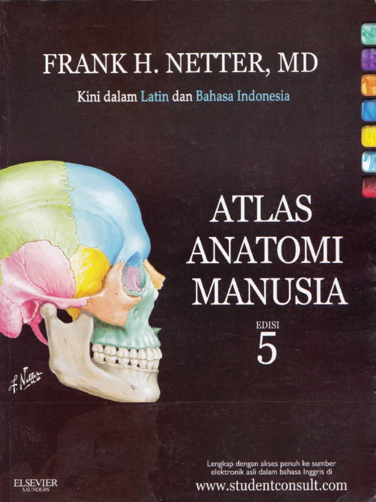 00 Cover Netter - Atlas Anatomi Manusia Edisi 5 PDF | PDF