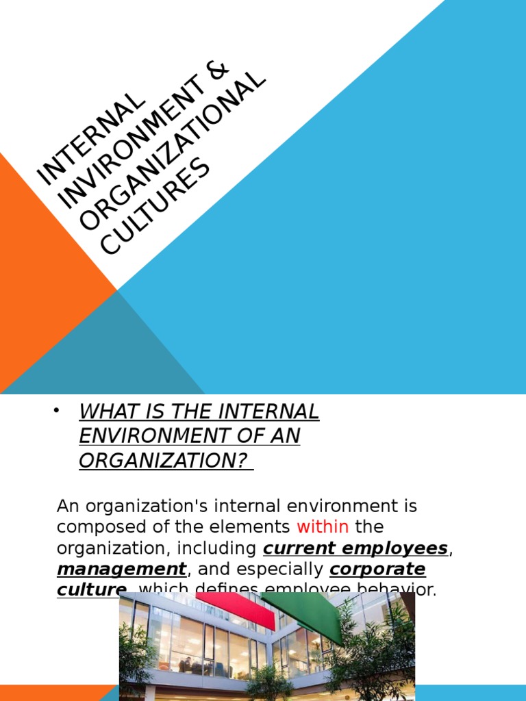 Internal Invironment of An Organization | PDF | Value (Ethics) | Rituals