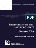 Recomendaciones para escribir un ensayo-Normas-APA.pdf