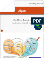 Microbiologia Ambiental: Algas, Fungos e Helmintos