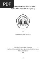 Download laporan drosophila by Hendrik_Nurfitrianto SN34261492 doc pdf