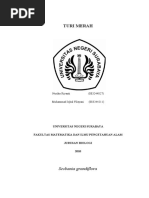 Download TURI MERAH Sesbania Grandiflora by Hendrik_Nurfitrianto SN34261675 doc pdf