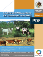 MANUAL AJUSTE DE CARGA.pdf