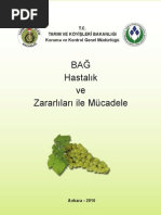 Bag Hastalik Ve Zararlilari Ile Mucadele