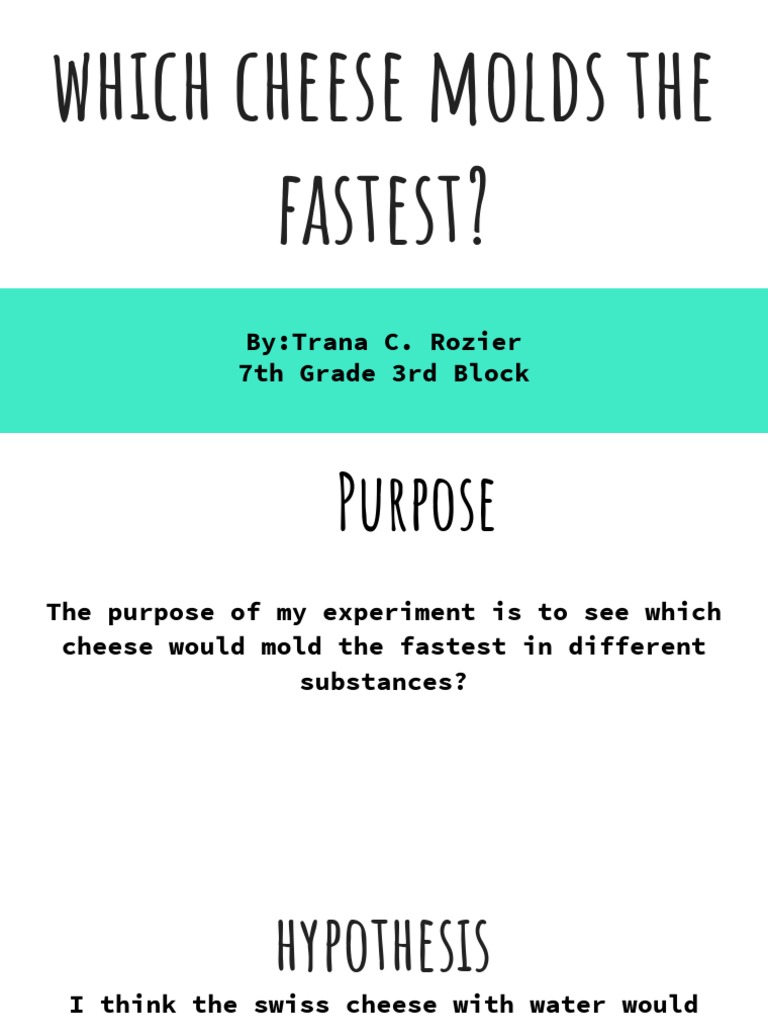 Which Cheese Molds The Fastest | PDF | Mold | Cheese, image size:768x1024