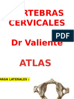 Cervicales Dr Valient 1