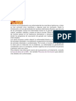 Ántrax PDF