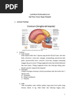 Download Laporan Pendahuluan Stt Regio Oksipital by rian0877 SN342654819 doc pdf