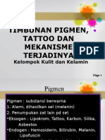 MEKANISME TERJADINYA PIGMEN TATTOO