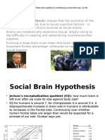 Social Brain Hypothesis: Argues That The Evolution of The