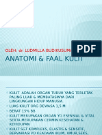1.ANATOMI & FAAL KULIT.pptx