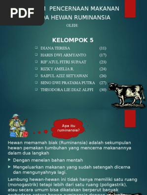 18++ Bagian lambung hewan ruminansia sebagai tempat bercampurnya bolus dan enzim info