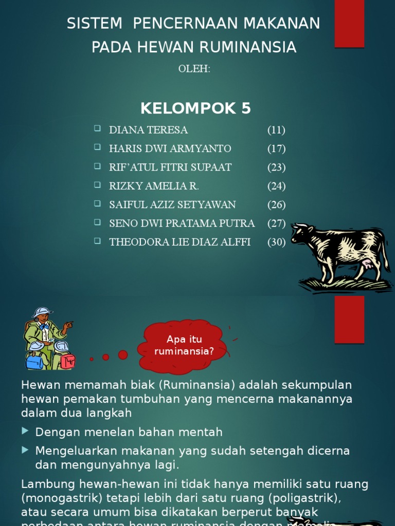 1000+ Gambar Struktur Lambung Hewan Ruminansia Terbaik