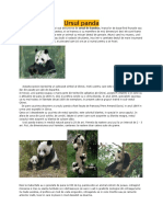 Referat Panda