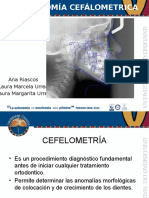Anatomíaa Cefalometricaa