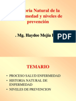 Historia Natural de la Enfermedad y niveles de prevención.