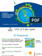 1 RCCP Deisy Taller de Riesgos Climaticos y Biodiversidad