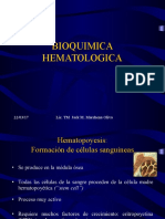 Metabolismo Del Hierro