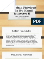 Perubahan Fisiologis Pada Ibu Hamil Trimester II