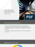 Ciclo de Vida Organizacional