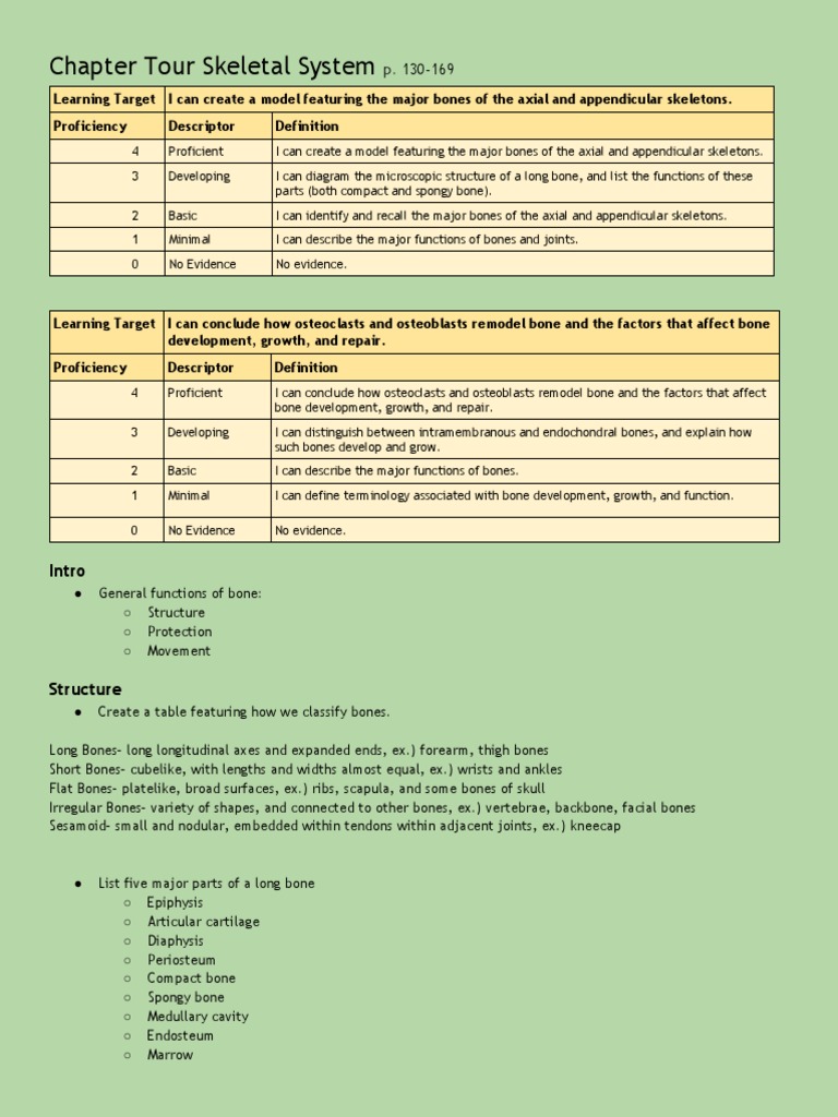 Understanding the Skeletal System | PDF | Bone | Osteoblast