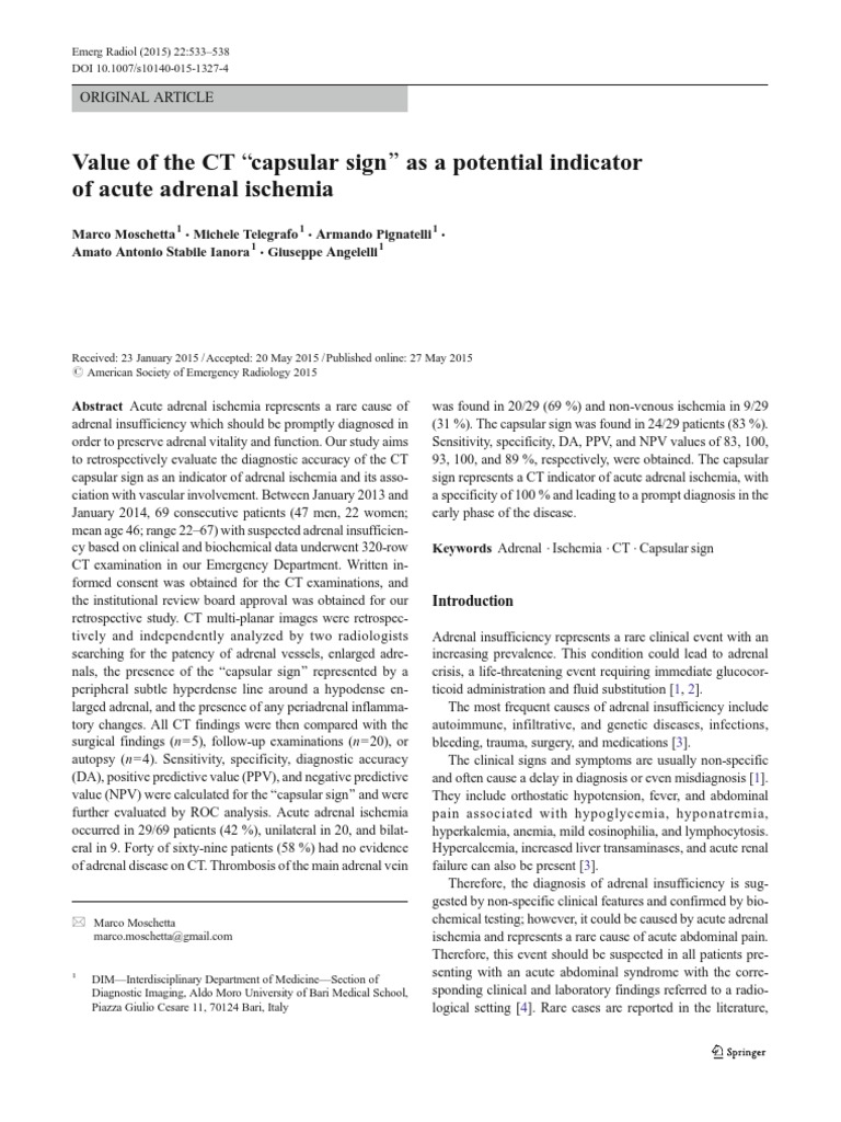 Art:10.1007/s10140 015 1327 4 | PDF | Ct Scan | Ischemia