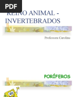 Reino Animal _ Invertebrados