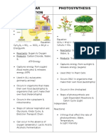 Cellular Respiration Photosynthesis: (Food Molecules) & Releases