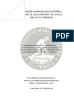 TESIS Habilidad de Cuidado de Los y Las Enfermeras de Los Hospitales IGSS de Accidentes Hospitales Nacionesles de Escuintla y San Marcos, Guatemala.