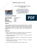 CV_David Perez_Tecnico Instrumentista.pdf