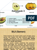 Kelompok 3 Biji Dan Perkecambahan R3 2015