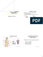 Anatomia Musculo Esquelética