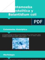 Entamoeba Hystolitica y Balantidium Coli