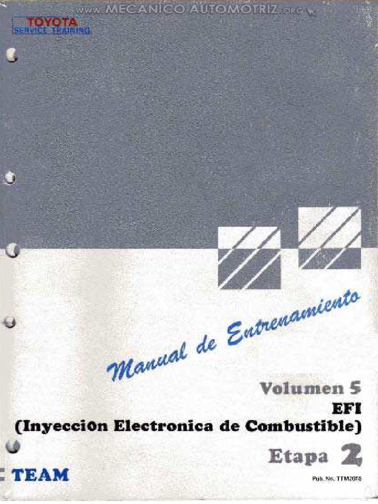 Manual Efi Inyeccion Electronica Combustible Sistemas Ecu Diagnostico