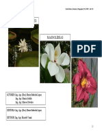 3angiospermasbasales Magnolideas Monocotiledoneas PDF