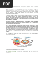 La célula.docx